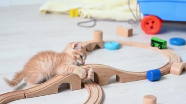 Şirin, kızıl, komik, kedi yavrusu çocuk odasında oyuncak paravozuyla ahşap bir demiryolunda oynuyor.