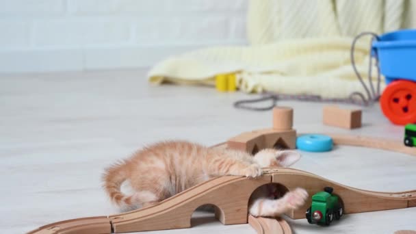Χαριτωμένο μικρό τζίντζερ αστείο γατάκι παίζει στο σπίτι στο φυτώριο με παιδικά παιχνίδια paravoz σε ένα ξύλινο σιδηρόδρομο — Αρχείο Βίντεο