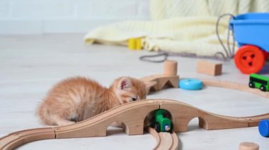 Şirin, kızıl, komik, kedi yavrusu çocuk odasında oyuncak paravozuyla ahşap bir demiryolunda oynuyor.