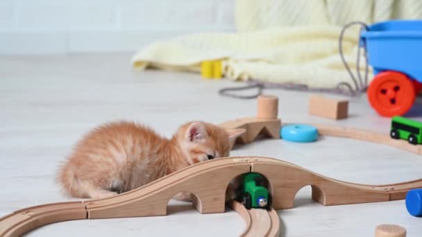 Schattig klein roodharig grappig katje spelen thuis in de kinderkamer met kinderen speelgoed paravoz op een houten spoorweg — Stockvideo