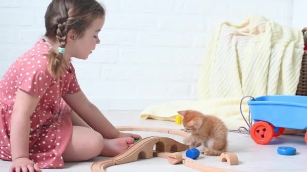 Bonito pouco gengibre menina criança brincando com gengibre engraçado gatinho casa — Vídeo de Stock