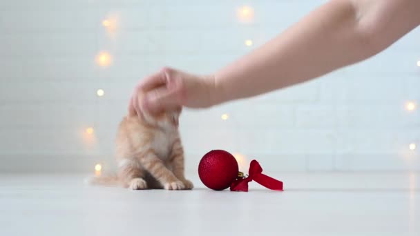 Lindo divertido jengibre gato gatito jugar con adornos de Navidad luces concepto de año nuevo y Navidad — Vídeos de Stock