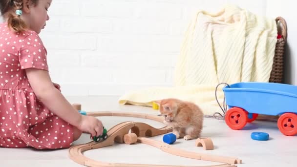 Lindo poco jengibre chica niño jugando con jengibre divertido gatito casa — Vídeo de stock