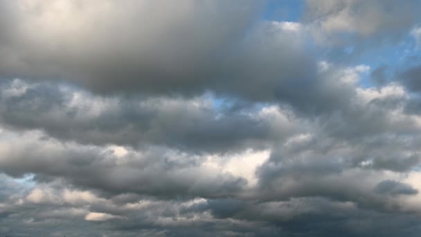 Białe chmury unoszą się nad błękitnym niebem — Wideo stockowe