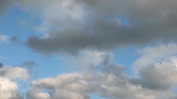 Fehér felhők lebegnek a kék égen — Stock videók