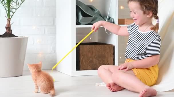 Aranyos kis gyömbér lány gyermek játszik -val gyömbér vicces cica macska otthon — Stock videók