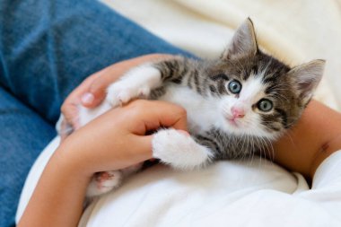 Suyun altında zehirli denizanalarını filme çekerken mor kenarlı dev dokunaçları denizde yüzer.