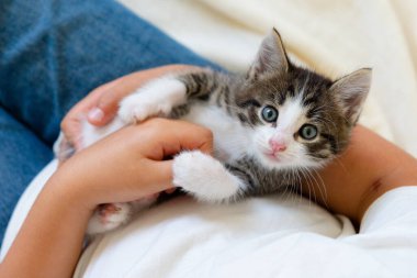 Suyun altında zehirli denizanalarını filme çekerken mor kenarlı dev dokunaçları denizde yüzer.