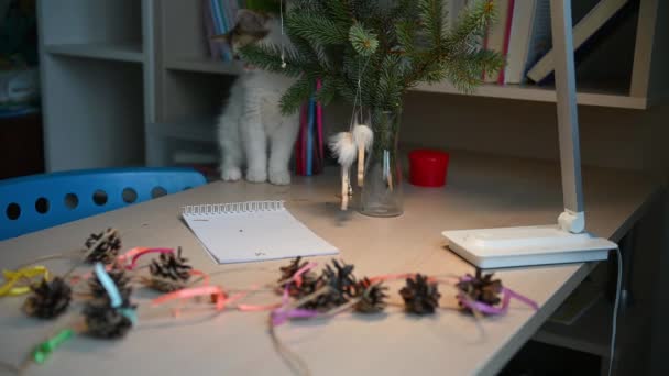 Niedliche flauschige Kätzchen spielen mit Weihnachtsschmuck auf dem Weihnachtsbaum Neujahrskonzept — Stockvideo