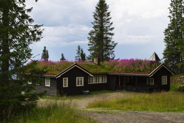 Tipik Norveç tatil evi, hytte