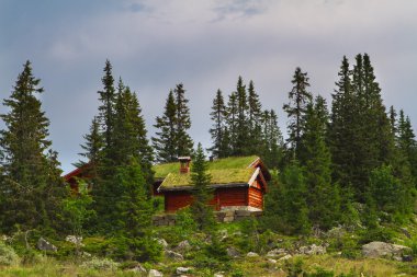 Tipik Norveç tatil evi, hytte