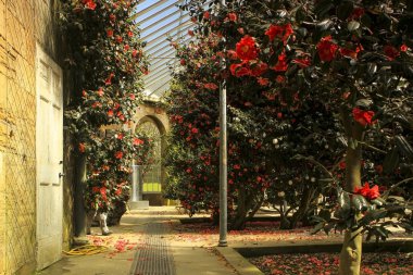 eski orangery