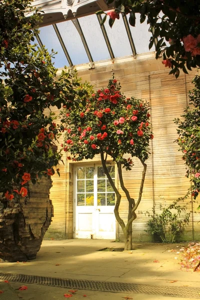 Old beautiful orangery — Stock Photo, Image