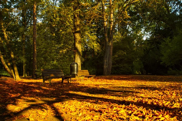 Lavička v podzimním parku Stock Fotografie