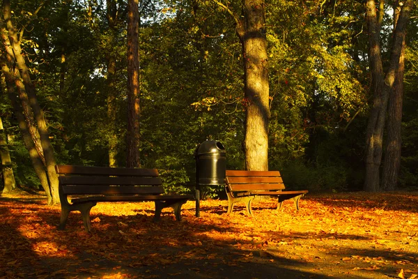 Lavička v podzimním parku. Podzimní krajina Royalty Free Stock Fotografie