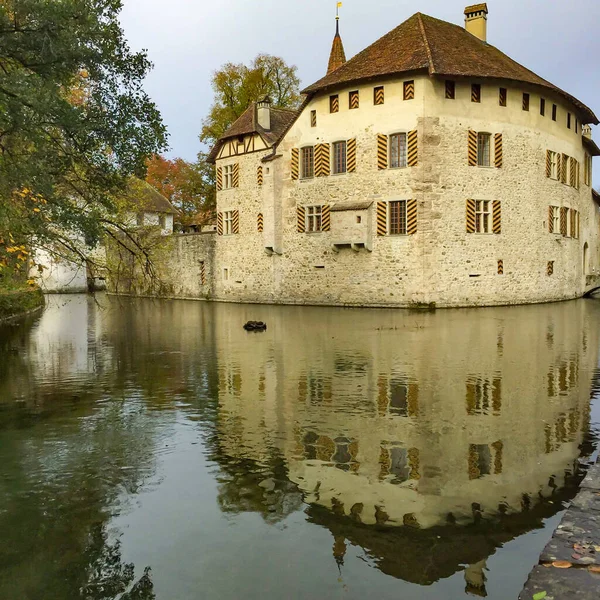 Château Eau Médiéval Forteresse Entourée Eau Hallwil Suisse — Photo