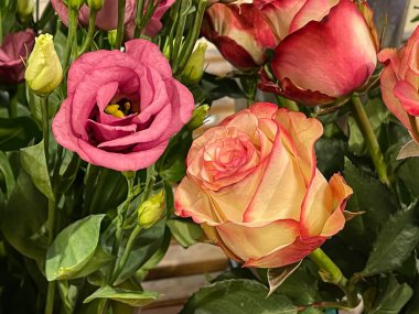 Gül başlıklı parlak çiçek buketi düzenleme, kırmızı kenarlı sarı taç yapraklı, satış vitrini