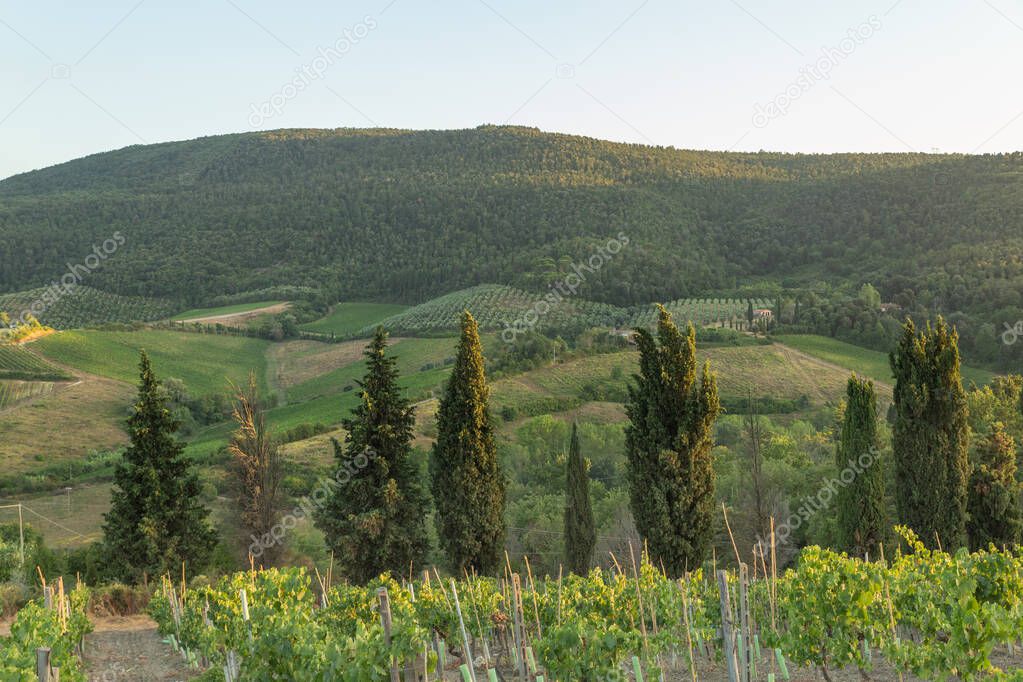 Beautiful Tuscany hills in Italy