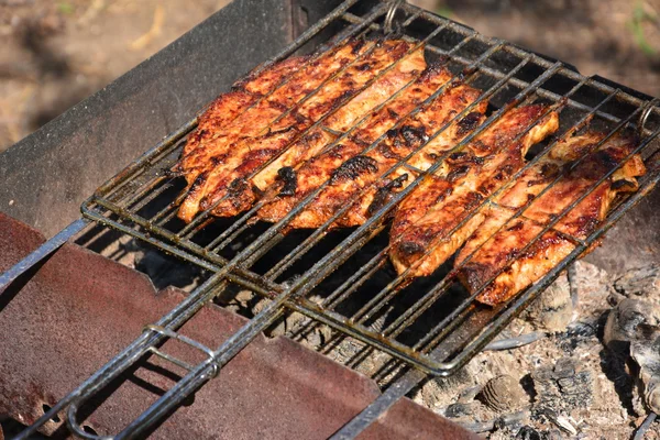 Preparação, Cozinhar kebabs em carvão ao ar livre — Fotografia de Stock