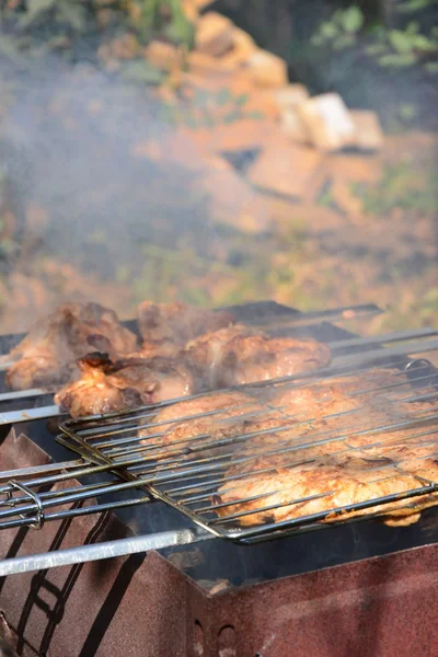 Preparação, Cozinhar kebabs em carvão ao ar livre — Fotografia de Stock