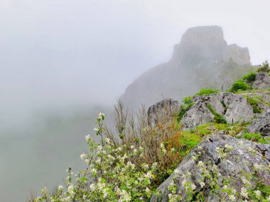 Montsegur 'un mistik kalesi, katarizmin amiral gemisi..