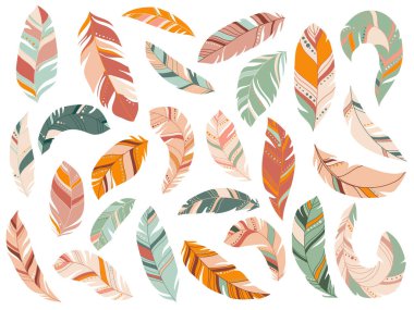 Kabile Tüyleri Darphane, Mercan, Donanma ve Sarı Altın Vektör Kümesi. Yumuşak tüylü tüy ve renkli tüylü kuş tüyü çizimi.