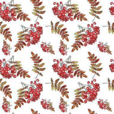  Sarma kâğıdı, duvar kağıdı, kumaş deseni, arka plan, baskı, hediye paketi için sulu çilek ve yaprakların kusursuz deseni. Şükran Günü malzemesi. 