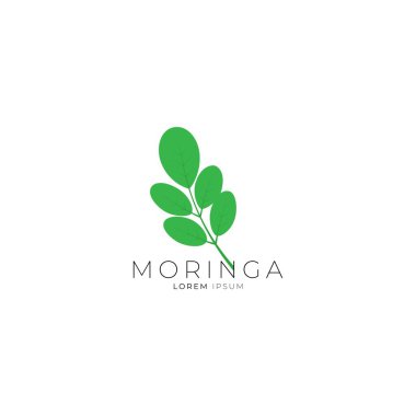 Moringa yaprak simgesi logo vektör tasarım şablonu