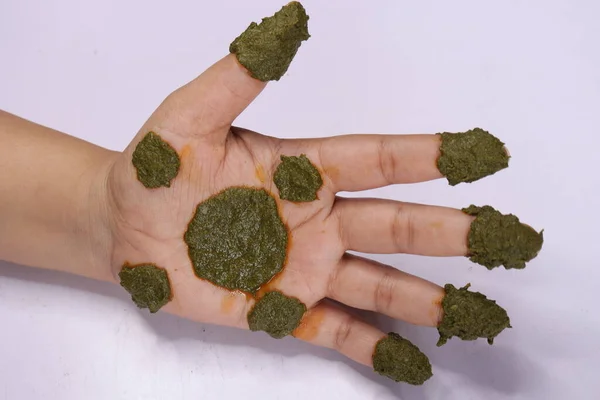 Taze Mehindi yeşil yaprağı (Lawsonia inermis) Beyaz arka planda izole edilmiş kadın elini yapıştır