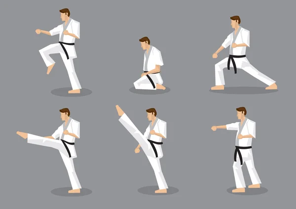 Karate Taekwondo Kampfsport Vektor Icon Set — Stockvektor
