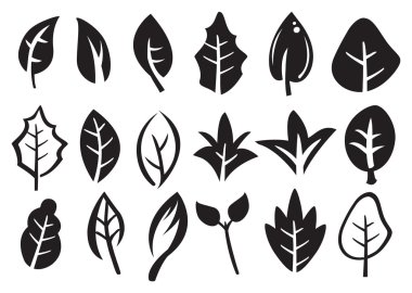 yaprak Icon set