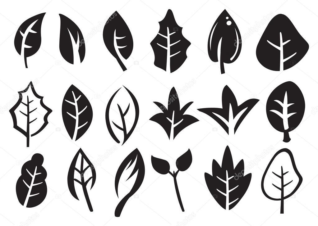 Leaf  Icon Set