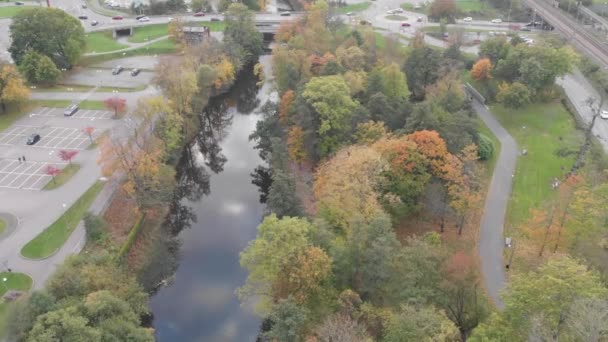 Herbstbäume entlang des Flusses neben Straße, Vorwärts-Antenne — Stockvideo