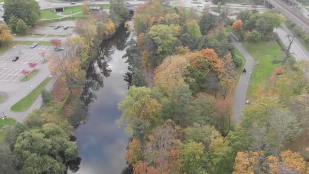도시의 강을 따라 뻗어 있는 가을 나무들, 느린 당기기 비행 — 비디오