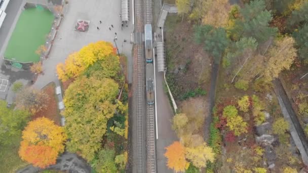 Blick von oben auf das Straßenbahnfahren im Herbst, Luftaufnahme — Stockvideo