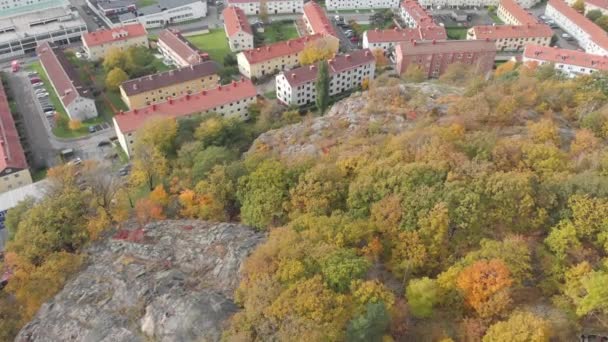 산과 가을 안개가 자욱 한 산과 주거 지역, 항공 — 비디오