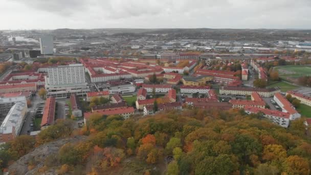 Autumn Foliage Forest on Hill, Gamlestaden, Gothenburg, Aerial Reveal — 비디오