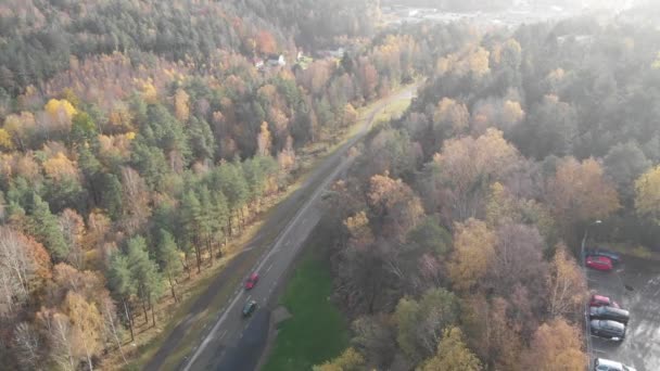 Лесная дорога в осенние цвета в день с автомобильным трафиком, воздушным — стоковое видео