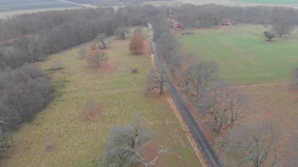 Group of Oak Trees With No Leaves and Gravel Road, Rising Aerial — Stock Video