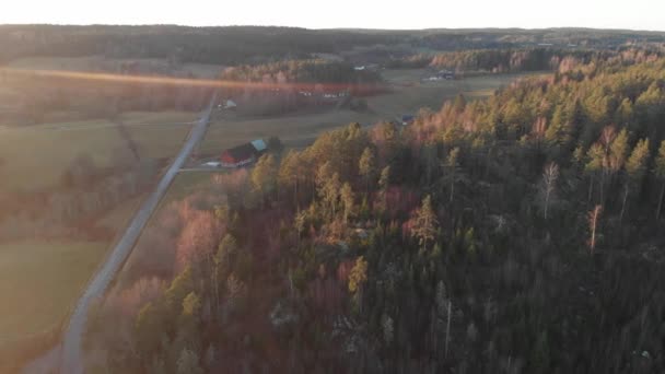 Prázdná Dirt Road obklopen obrovským jehličnatým lesem, Drone pohled — Stock video