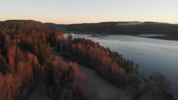 Lakeshore s borovicovým lesem při východu slunce, Forestry Concept, Aerial Rising — Stock video