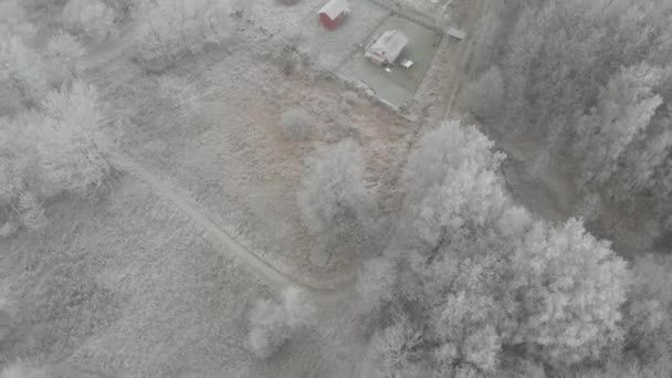 Mrożone zimowe powietrze nad uprawą działki, z góry na dół, Birds Eye — Wideo stockowe