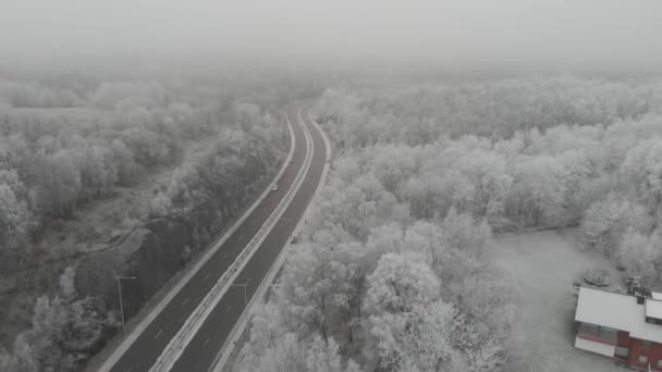 Highway Foggy Winter Forest, Aerial Pull Back — Stock Video
