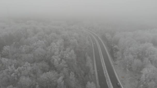 Длинная проселочная дорога, белоснежный лесной ландшафт, оттянутый назад с воздуха — стоковое видео