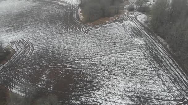 Stripe Pattern on Snow Covered Field, Farm Concept, Aerial — Vídeos de Stock