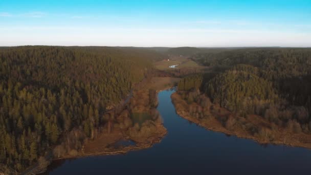 River Connecting with Lake in Nature Reserve, Boreal Forest, Aerial — Video Stock