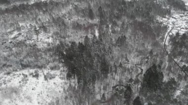 İskandinavya Kış Ormanı, Eğri Nehir ve Şehir Arkaplanda, Hava