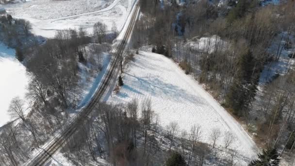 Árbol de roble y sombra en campo cubierto de nieve, aéreo — Vídeo de stock