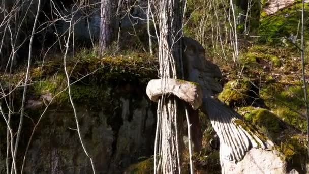 Gamleby, Sweden - April 02 2021: Troll Hiding Behind Tree at Sculpture Park, Pan — стокове відео