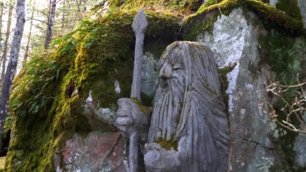 Gamleby, Schweden - 2. April 2021: Krieger-Troll-Statue versteckt sich im Wald — Stockvideo